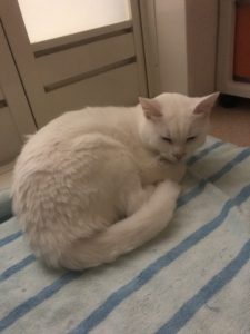 お風呂の前で・・